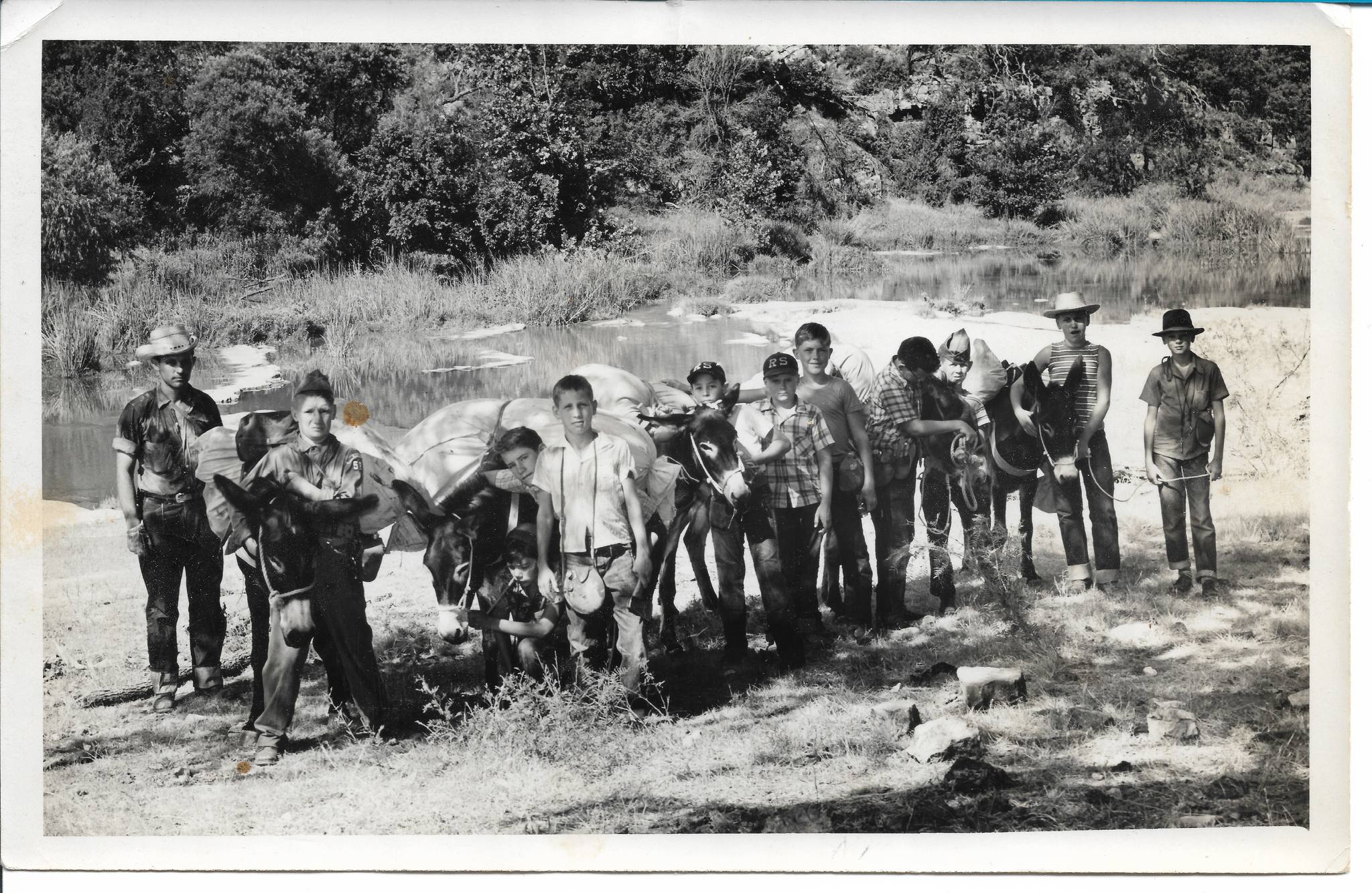 Mule Train Group