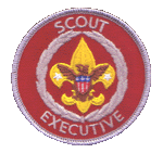 Scout Executive shoulder
          patch